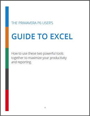 Excel__Primavera_P6_Guide